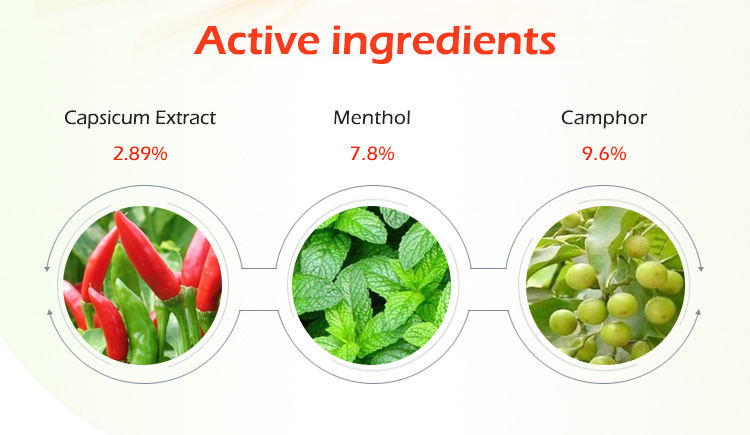 Capsicum Heat Plaster Supplier